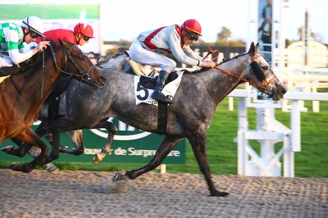 Photo d'arrivée de la course pmu PRIX DU VAUCLUSE à CAGNES-SUR-MER le Mercredi 15 février 2017