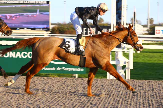 Photo d'arrivée de la course pmu PRIX DU GALIBIER à CAGNES-SUR-MER le Samedi 25 février 2017