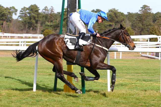Photo d'arrivée de la course pmu PRIX DU CANTON DE FONTAINEBLEAU à FONTAINEBLEAU le Samedi 25 février 2017