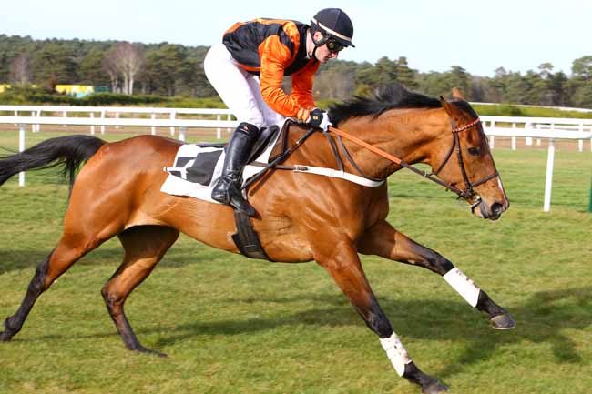Photo d'arrivée de la course pmu PRIX MAURICE GILLOIS à FONTAINEBLEAU le Samedi 25 février 2017
