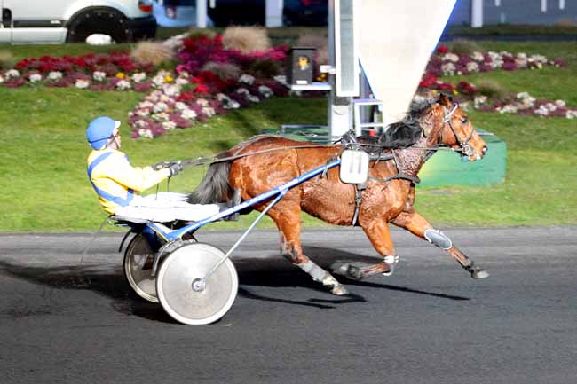 Photo d'arrivée de la course pmu PRIX JEAN TYSSANDIER à PARIS-VINCENNES le Dimanche 26 février 2017
