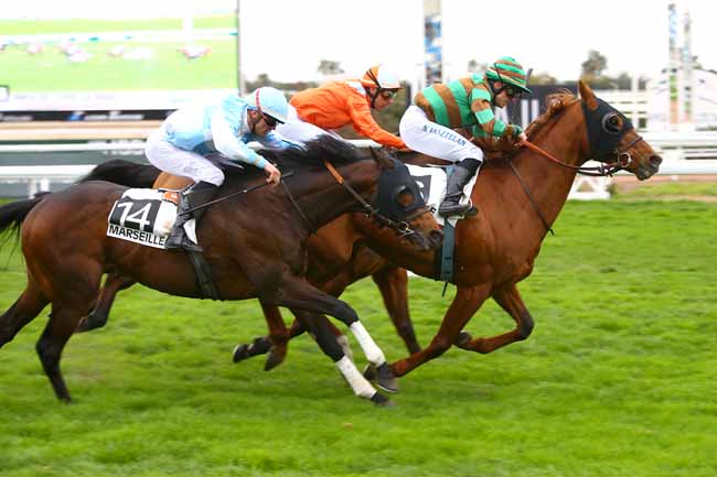 Photo d'arrivée de la course pmu PRIX DE LYON-LA-SOIE à CAGNES-SUR-MER le Lundi 27 février 2017