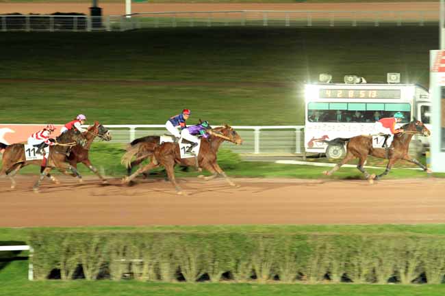 Photo d'arrivée de la course pmu PRIX DE FENAIN à ENGHIEN le Lundi 27 février 2017