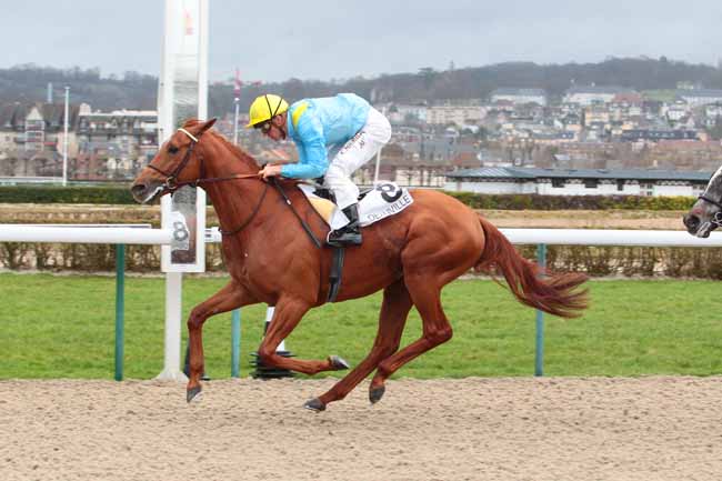 Photo d'arrivée de la course pmu PRIX DU VAUDREUIL à DEAUVILLE le Mercredi 1 mars 2017