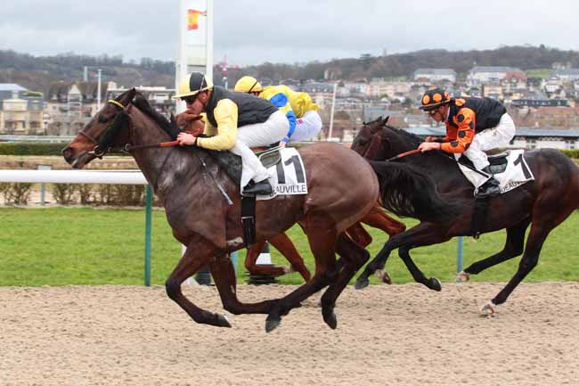 Photo d'arrivée de la course pmu PRIX DU CAP DE LA HAGUE à DEAUVILLE le Mercredi 1 mars 2017