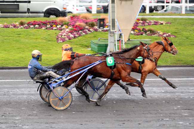 Photo d'arrivée de la course pmu PRIX DE MONTSOREAU à PARIS-VINCENNES le Samedi 4 mars 2017