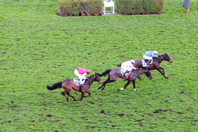 Photo d'arrivée de la course pmu PRIX PONT D'IENA à AUTEUIL le Dimanche 5 mars 2017