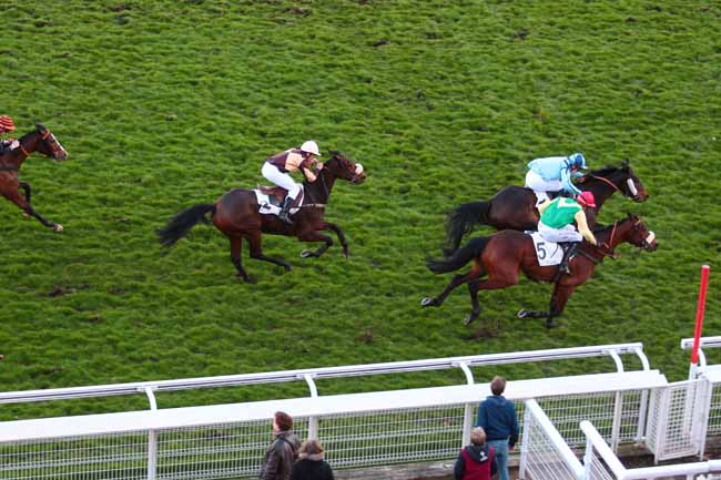 Photo d'arrivée de la course pmu PRIX BOUGIE à AUTEUIL le Dimanche 5 mars 2017