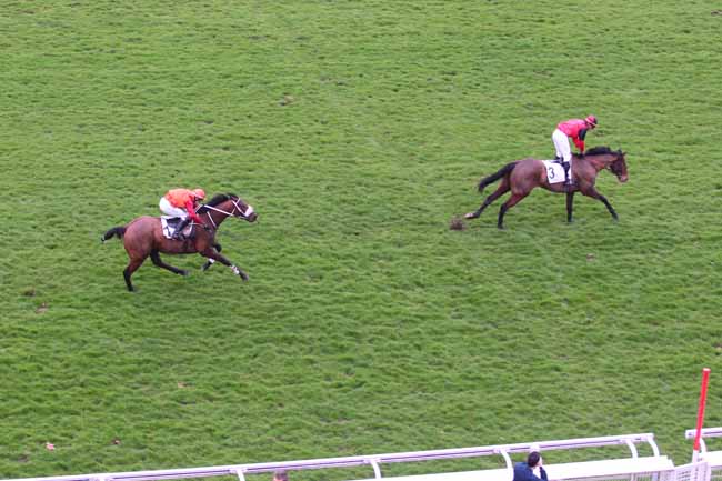 Photo d'arrivée de la course pmu PRIX ROHAN à AUTEUIL le Dimanche 5 mars 2017