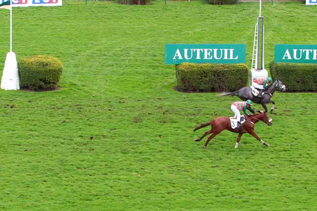 Photo d'arrivée de la course pmu PRIX AGITATO à AUTEUIL le Dimanche 5 mars 2017