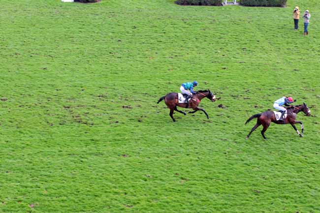 Photo d'arrivée de la course pmu PRIX JUIGNE à AUTEUIL le Dimanche 5 mars 2017