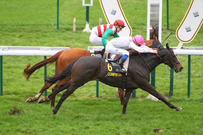Photo d'arrivée de la course pmu PRIX DE CLAIROIX à COMPIEGNE le Mercredi 8 mars 2017