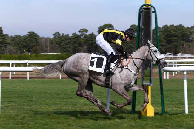 Photo d'arrivée de la course pmu PRIX DE LA SOCIETE DES COURSES DU PIN à FONTAINEBLEAU le Mardi 14 mars 2017