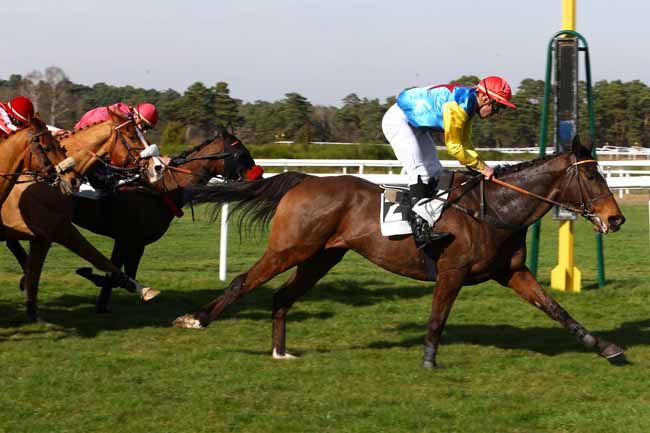Photo d'arrivée de la course pmu PRIX DE BARBIZON à FONTAINEBLEAU le Mardi 14 mars 2017