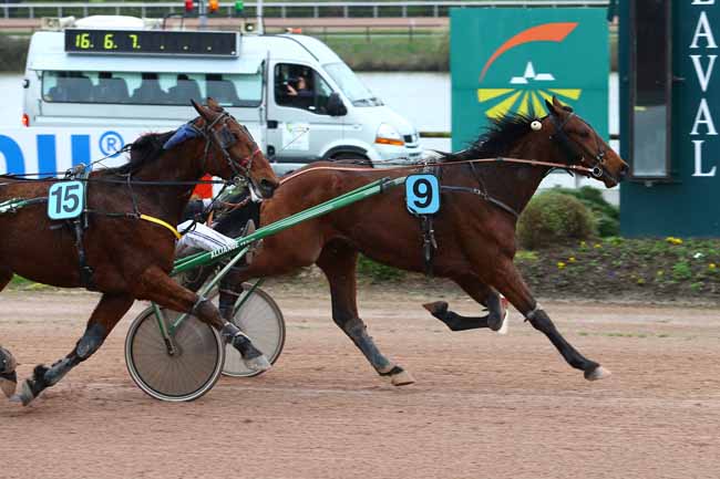 Photo d'arrivée de la course pmu PRIX WWW.LAMAYENNE.FR à LAVAL le Mercredi 15 mars 2017