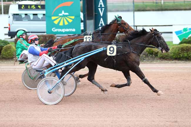 Photo d'arrivée de la course pmu PRIX FRANCE BLEU MAYENNE (GR A) à LAVAL le Mercredi 15 mars 2017