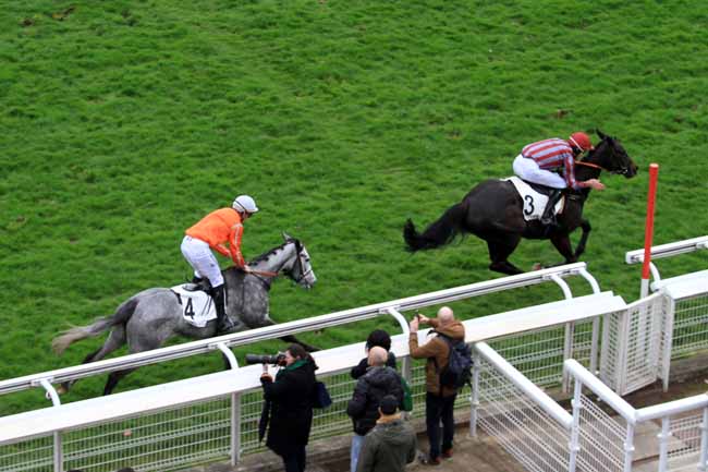 Photo d'arrivée de la course pmu PRIX D'INDY à AUTEUIL le Samedi 18 mars 2017
