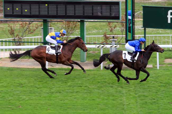 Photo d'arrivée de la course pmu PRIX EXBURY à SAINT-CLOUD le Dimanche 19 mars 2017