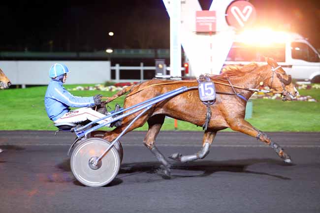 Photo d'arrivée de la course pmu PRIX MAIA à PARIS-VINCENNES le Vendredi 24 mars 2017