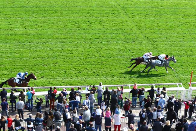 Photo d'arrivée de la course pmu PRIX AURICULA à AUTEUIL le Dimanche 26 mars 2017