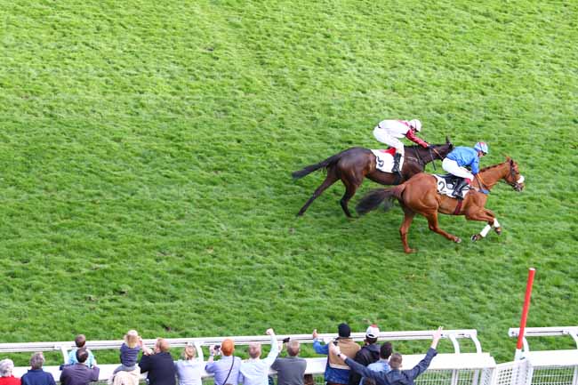 Photo d'arrivée de la course pmu PRIX ALAIN GRIMAUX à AUTEUIL le Dimanche 26 mars 2017