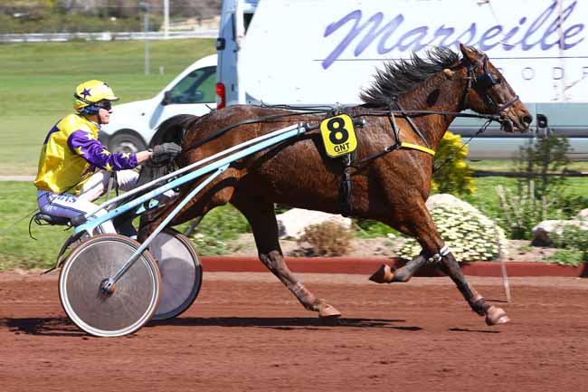 Photo d'arrivée de la course pmu GRAND NATIONAL DU TROT PARIS-TURF à MARSEILLE-BORELY le Mercredi 29 mars 2017