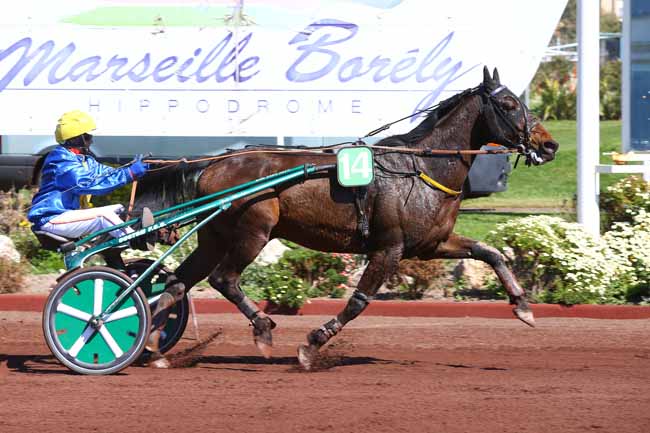 Photo d'arrivée de la course pmu PRIX DE SALON-DE-PROVENCE à MARSEILLE-BORELY le Mercredi 29 mars 2017