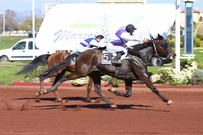 Photo d'arrivée de la course pmu PRIX DES CAVES SAINT-MARC DE CAROMB à MARSEILLE-BORELY le Mercredi 29 mars 2017