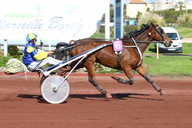 Photo d'arrivée de la course pmu PRIX PMU LE BONNEVEINE - CAGNES-SUR-MER à MARSEILLE-BORELY le Mercredi 29 mars 2017