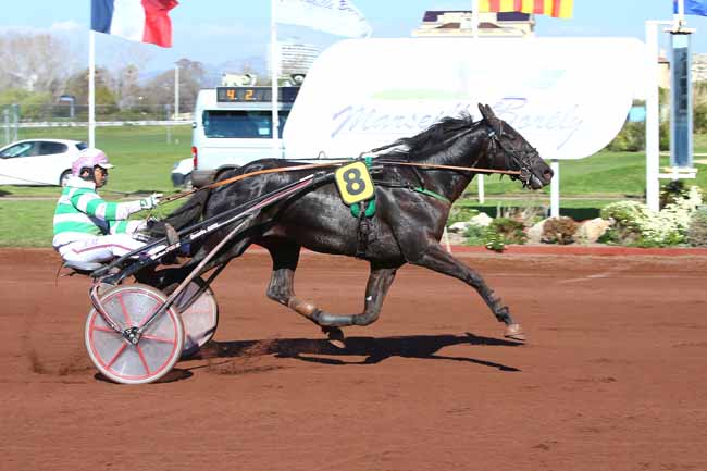 Photo d'arrivée de la course pmu PRIX SAUVONS LE CHEVAL ET NOS EMPLOIS à MARSEILLE-BORELY le Mercredi 29 mars 2017