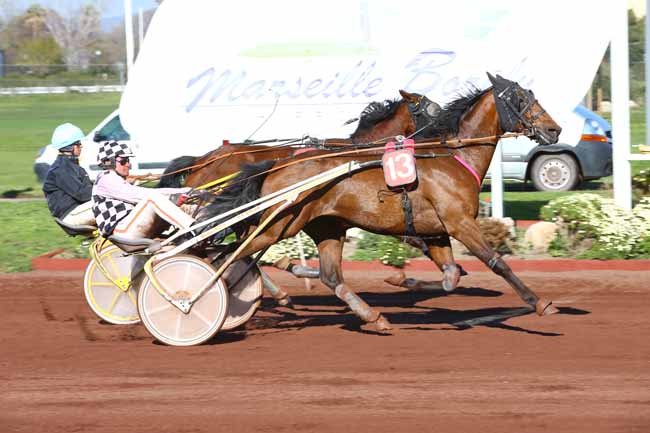 Photo d'arrivée de la course pmu PRIX DE CASSIS à MARSEILLE-BORELY le Mercredi 29 mars 2017