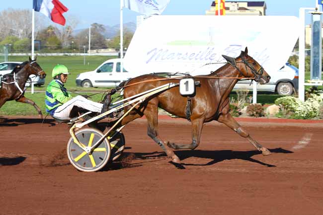 Photo d'arrivée de la course pmu PRIX DU CHATEAU D'IF à MARSEILLE-BORELY le Mercredi 29 mars 2017