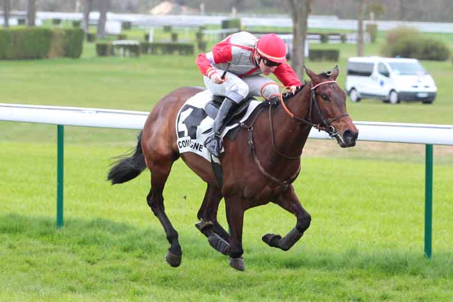 Photo d'arrivée de la course pmu PRIX DU CARNOIS à COMPIEGNE le Mercredi 29 mars 2017