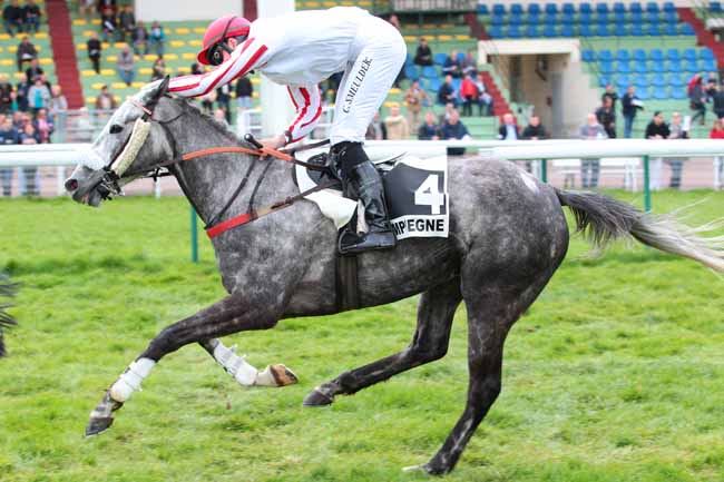 Photo d'arrivée de la course pmu PRIX DE DECIZE à COMPIEGNE le Mercredi 29 mars 2017