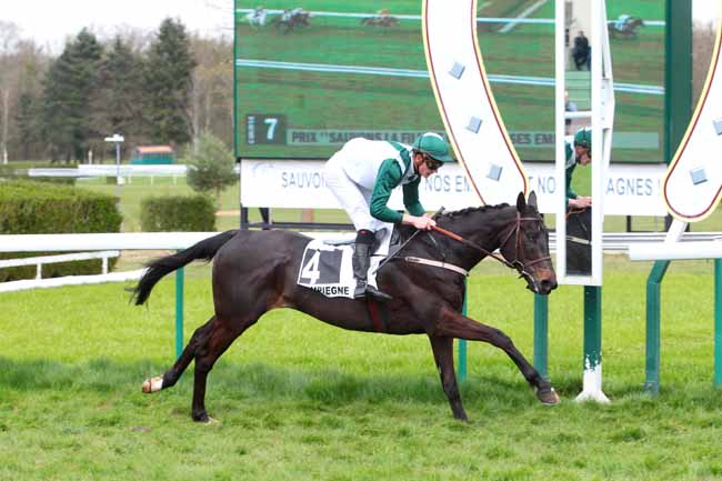 Photo d'arrivée de la course pmu PRIX D'ABBEVILLE à COMPIEGNE le Mercredi 29 mars 2017
