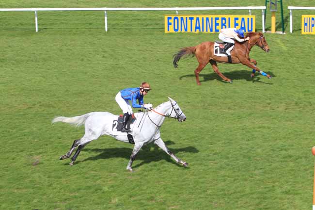 Photo d'arrivée de la course pmu PRIX DES FRENES à FONTAINEBLEAU le Jeudi 30 mars 2017