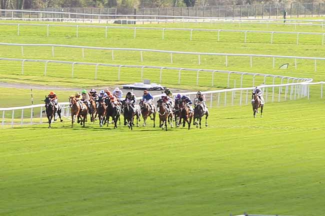 Photo d'arrivée de la course pmu PRIX DU ROND DE SEVIGNE à MAISONS-LAFFITTE le Vendredi 31 mars 2017