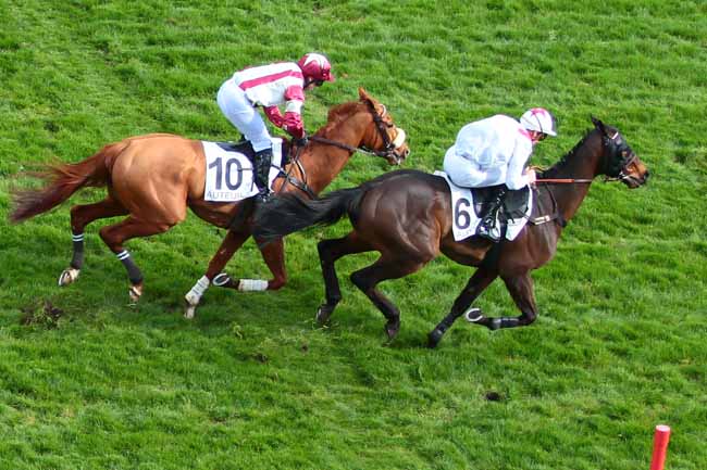 Photo d'arrivée de la course pmu PRIX RABASTENS à AUTEUIL le Samedi 1 avril 2017