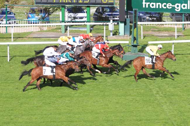 Photo d'arrivée de la course pmu PRIX DE MALIDOR à SAINT-CLOUD le Dimanche 2 avril 2017