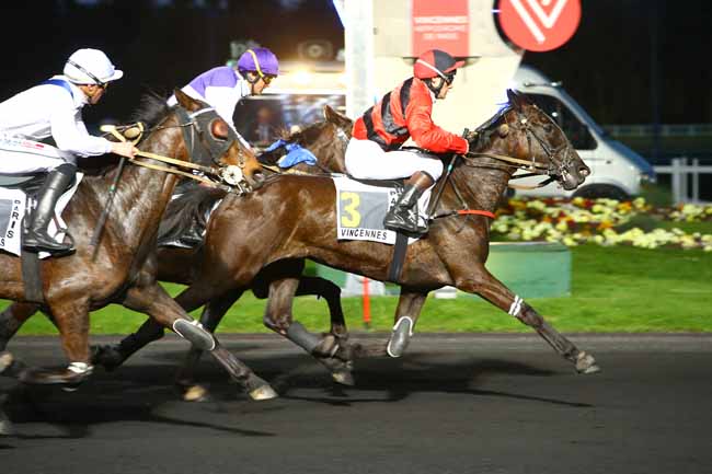 Photo d'arrivée de la course pmu PRIX ALMANON à PARIS-VINCENNES le Mardi 4 avril 2017