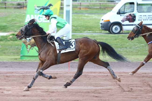 Photo d'arrivée de la course pmu PRIX NERIC BARBES à ANGERS le Mercredi 5 avril 2017