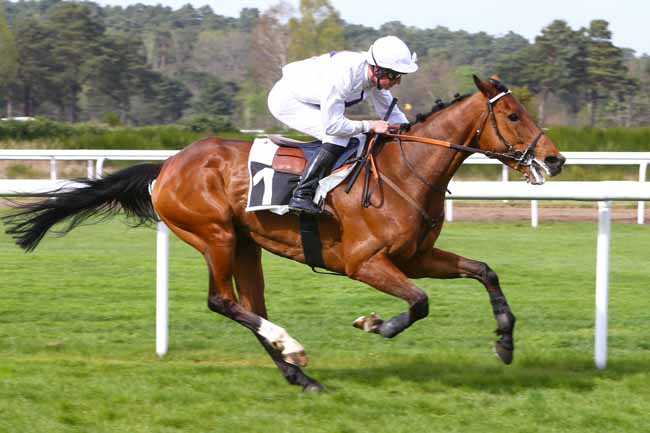 Photo d'arrivée de la course pmu PRIX THIERRY CLEMENT à FONTAINEBLEAU le Mercredi 5 avril 2017