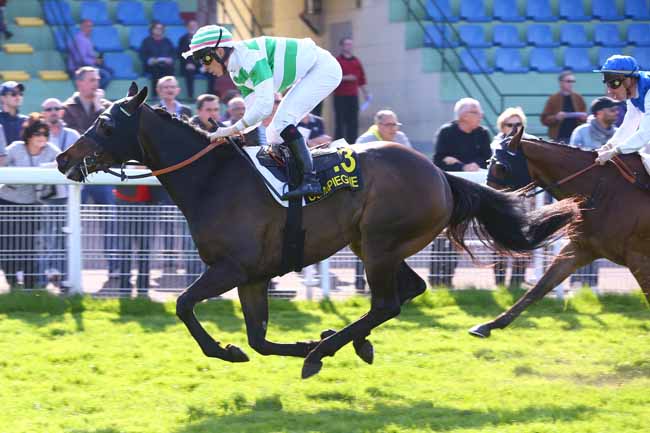 Photo d'arrivée de la course pmu PRIX DE L'ETOILE DE LA REINE à COMPIEGNE le Vendredi 7 avril 2017