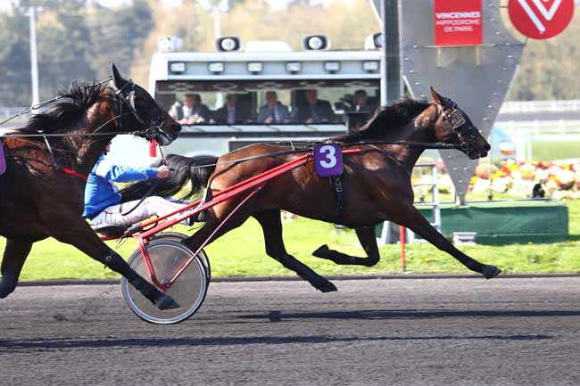 Photo d'arrivée de la course pmu PRIX PAUL LEGUERNEY à PARIS-VINCENNES le Samedi 8 avril 2017