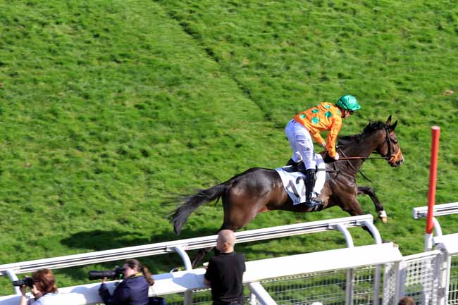 Photo d'arrivée de la course pmu PRIX GRANDAK à AUTEUIL le Samedi 8 avril 2017