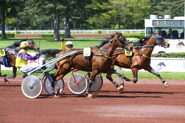 Photo d'arrivée de la course pmu GRAND NATIONAL DU TROT PARIS-TURF à LYON-PARILLY le Mercredi 12 avril 2017