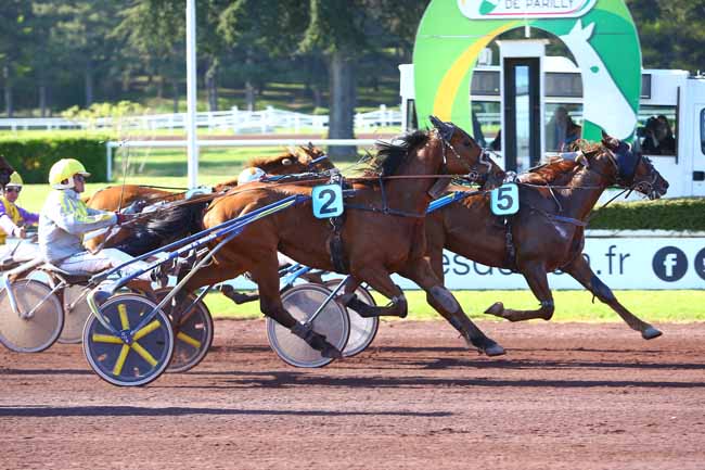Photo d'arrivée de la course pmu PRIX DU DIOIS à LYON-PARILLY le Mercredi 12 avril 2017