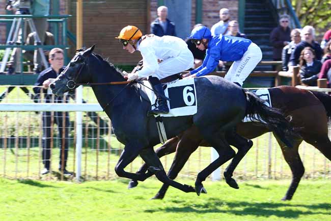 Photo d'arrivée de la course pmu PRIX DE SAMOIS-SUR-SEINE à FONTAINEBLEAU le Mercredi 12 avril 2017