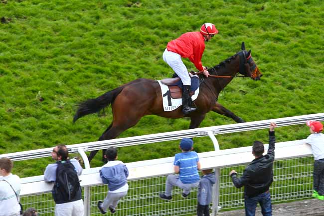 Photo d'arrivée de la course pmu PRIX DE BORELY à AUTEUIL le Jeudi 13 avril 2017