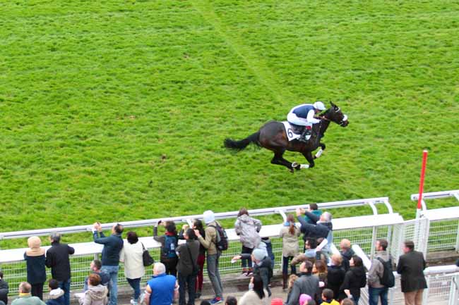 Photo d'arrivée de la course pmu PRIX OTEUIL SF à AUTEUIL le Lundi 17 avril 2017